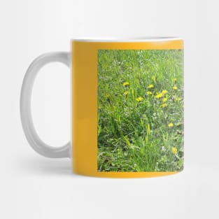 Spring grass, flowers, nature photo Mug